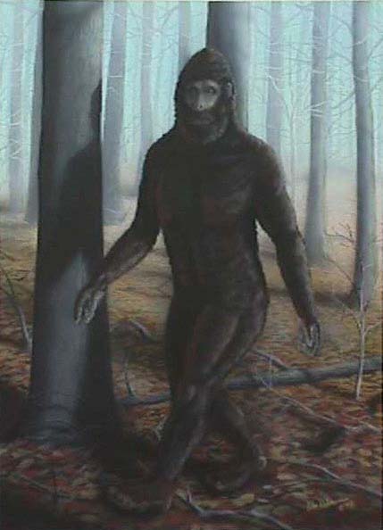Bigfoot drawing